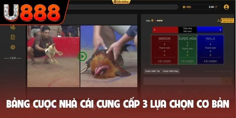 Bảng cược nhà cái cung cấp 3 lựa chọn cơ bản