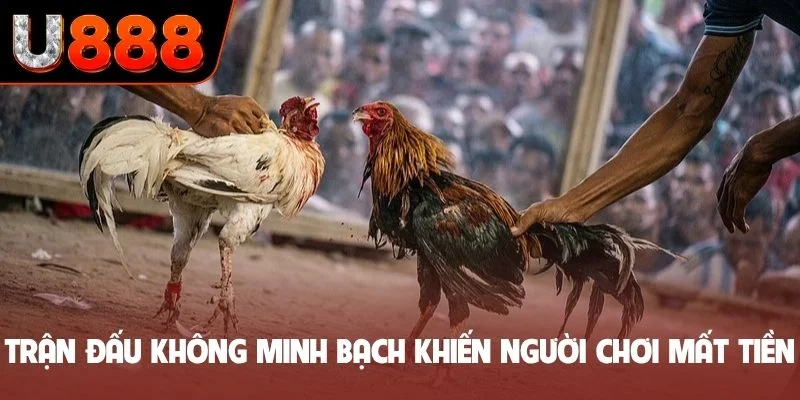 Các trận đấu không minh bạch khiến người chơi mất tiền