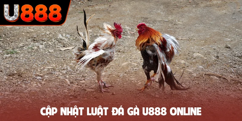 Cập nhật luật đá gà U888 online