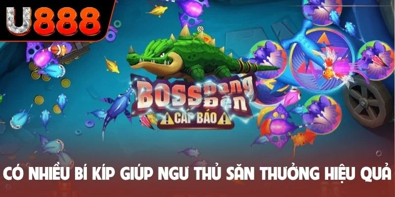 Có nhiều bí kíp giúp ngư thủ săn thưởng hiệu quả