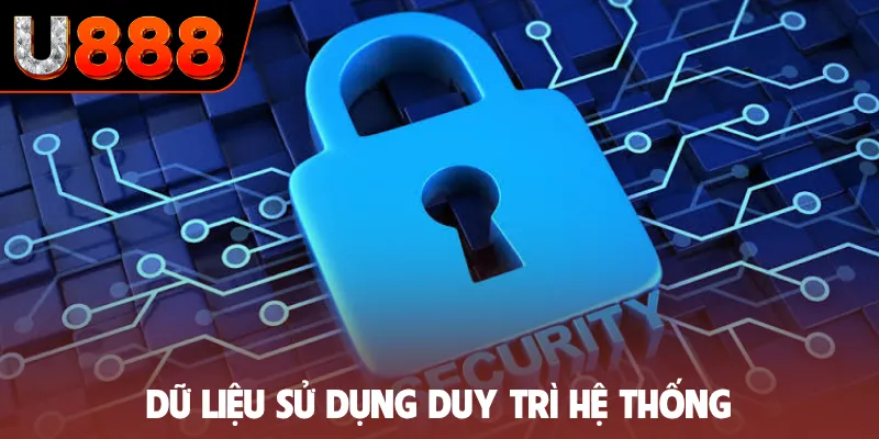 Dữ liệu sử dụng duy trì hệ thống