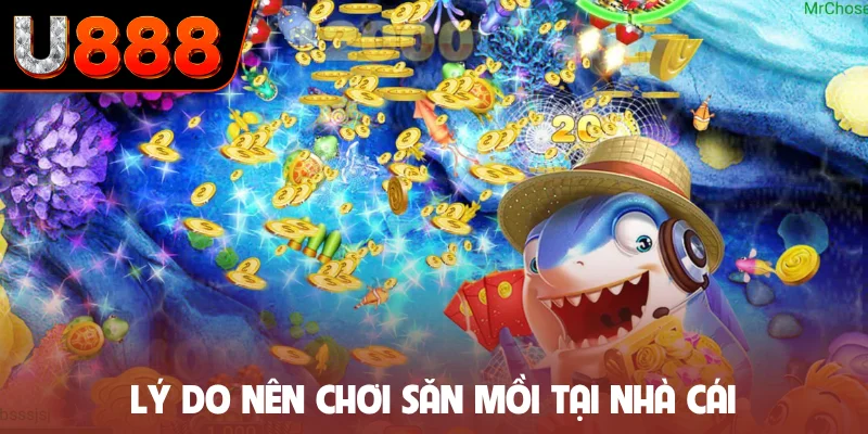 Lý do nên chơi săn mồi tại nhà cái