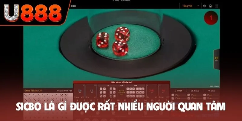 Sicbo là gì được rất nhiều người quan tâm mỗi ngày